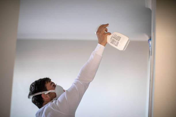 Best Localized Mold Remediation (e.g., coastal areas, humid climates) in New Fairview, TX