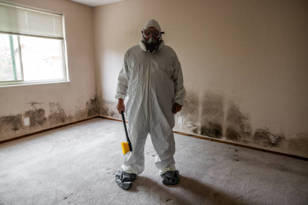 Best HVAC Mold Remediation in New Fairview, TX
